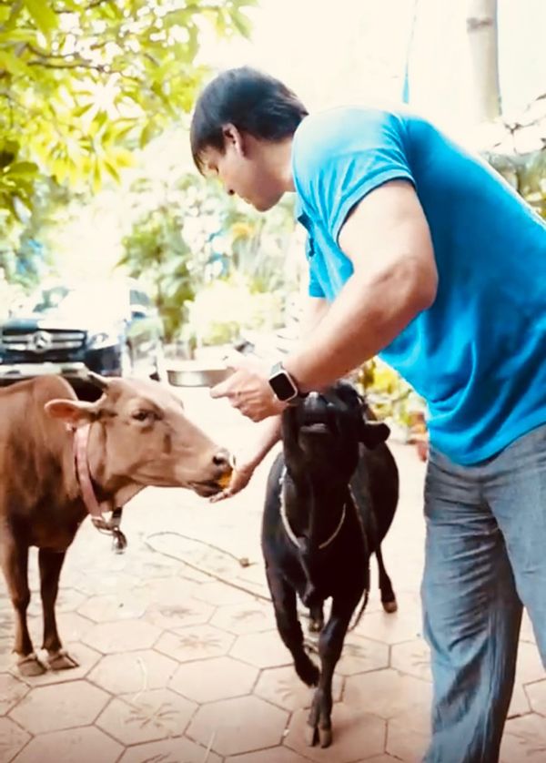 Vivek Oberoi with his Kamadhenu